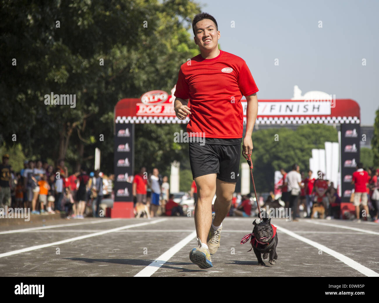 May 18, 2014 - Jakarta, Jakarta, Indonesia - Nestle Purina Petcare through it product Alpo held an event called ''Alpo Dog Run'' at Senayan Sport Centre-Jakarta. The Event is the first time held in Indonesia. Total 300 of dog owner join the event. (Credit Image: © Donal Husni/NurPhoto/ZUMAPRESS.com) Stock Photo