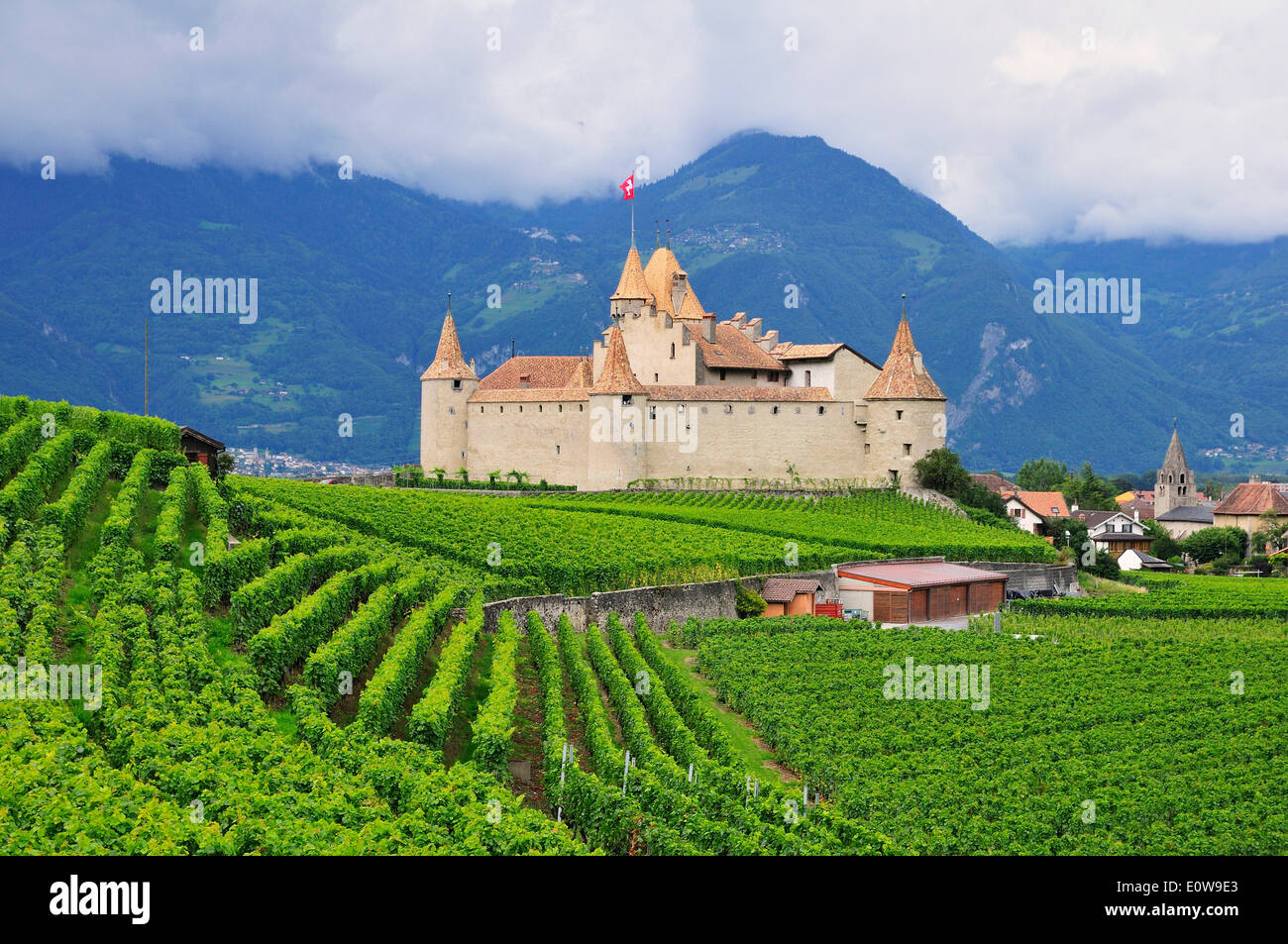 Château d''Aigle Aigle Castle, by vineyards, Aigle, Canton of Vaud, Switzerland Stock Photo - Alamy