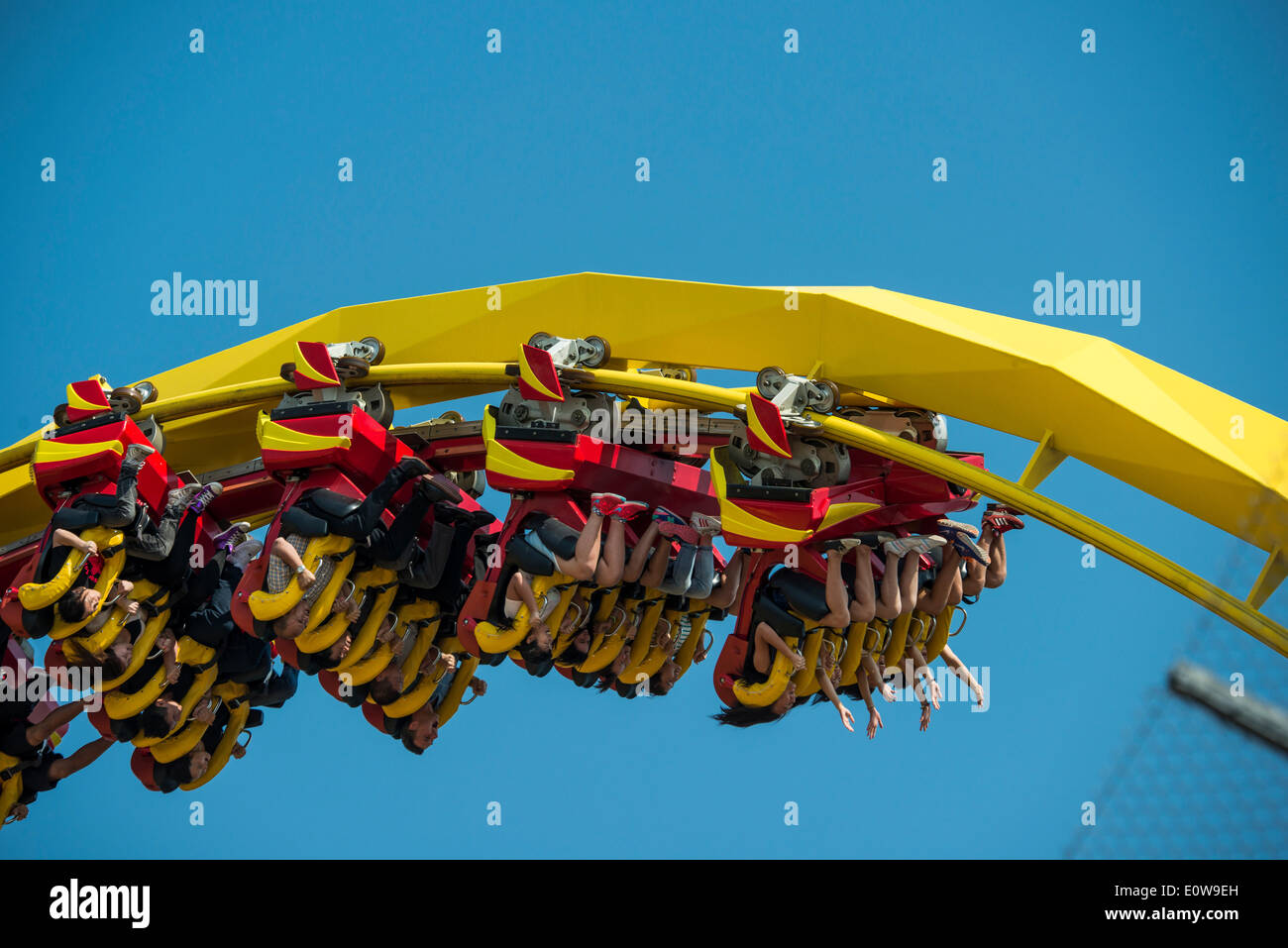 Roller coaster during a loop, Ocean Park, Hong Kong Island, Hong Kong, China Stock Photo