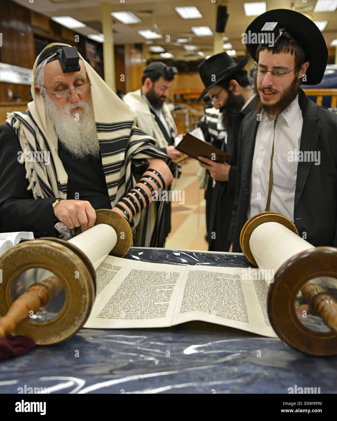 Reading from a Torah scroll at morning services at Lubavitch headquarters in Crown Heights, Brooklyn, New York. Stock Photo