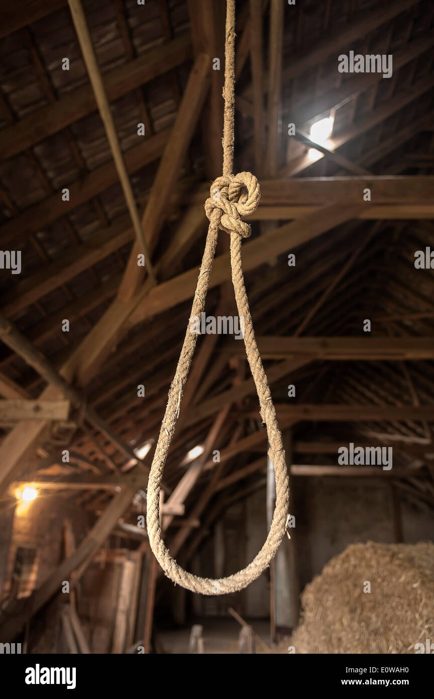 Hanging Rope With Loops Stock Photos Hanging Rope With