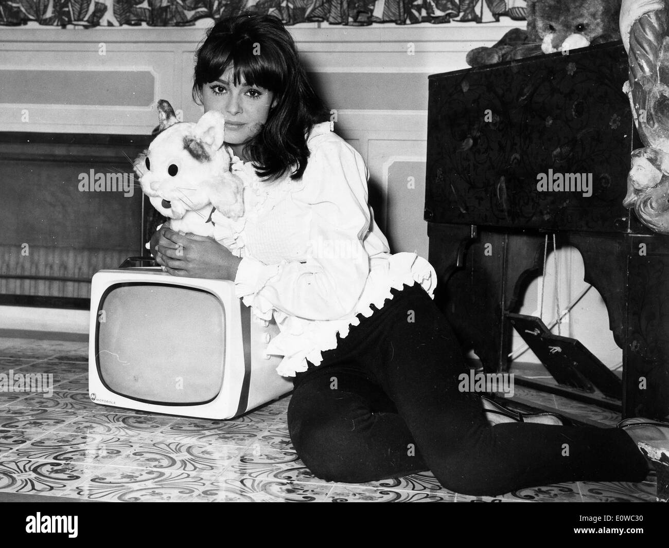 Actress Daliah Lavi with stuffed cat Stock Photo