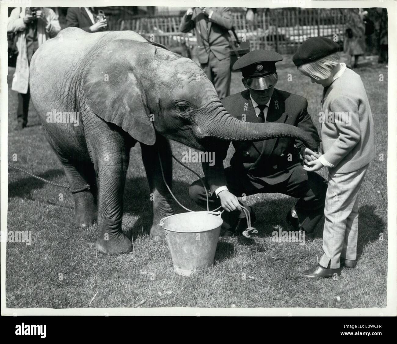 May 05, 1962 Toto makes her bow... Two year old ''Toto''(it means
