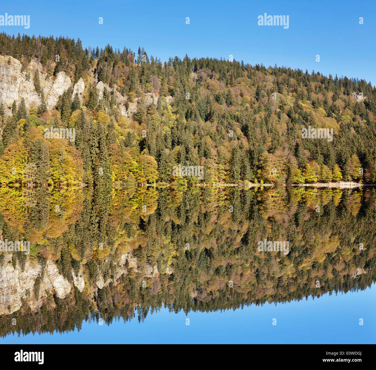 Lake Feldsee and Feldberg mountain, Black Forest, BadenWürttemberg