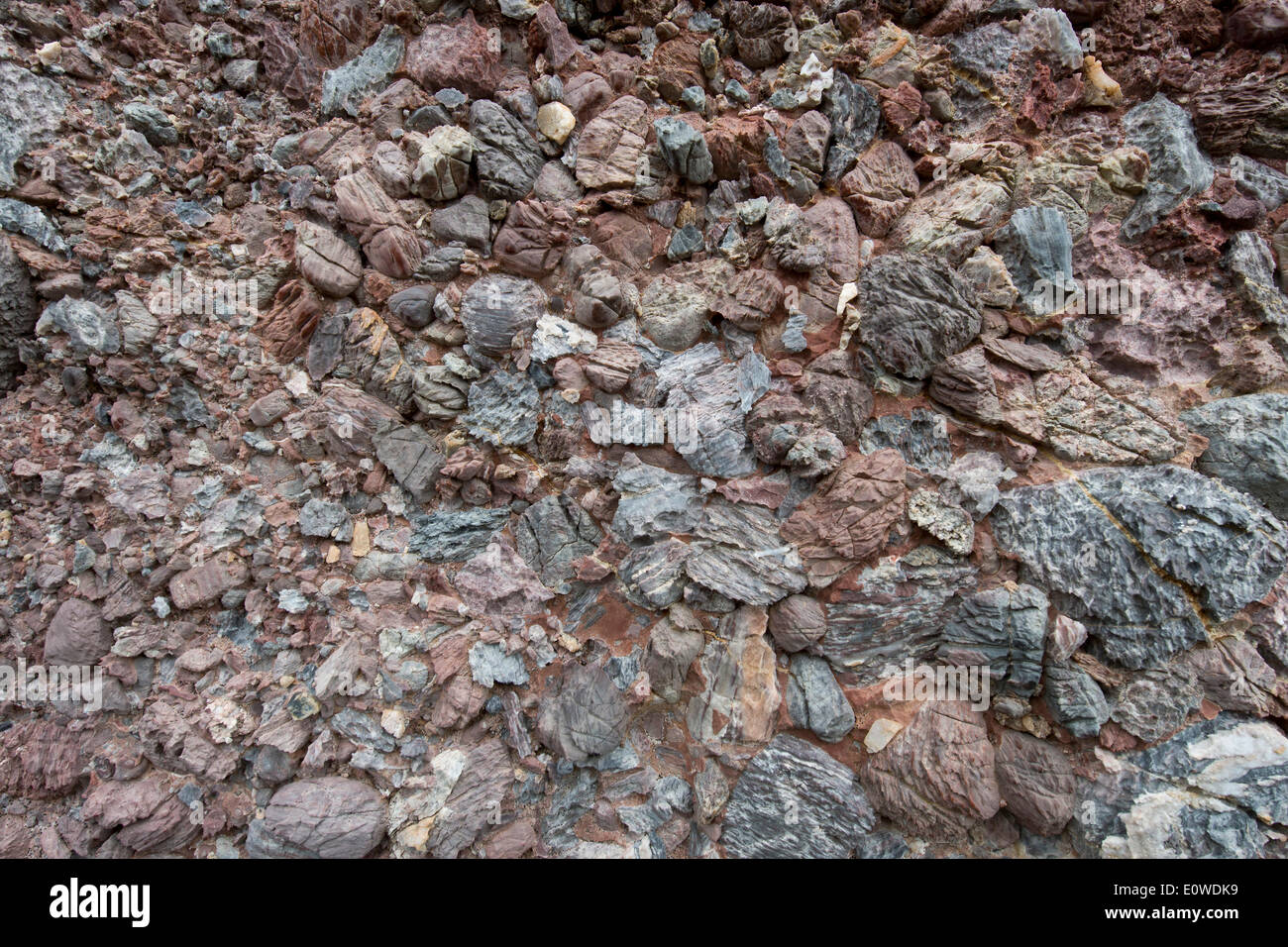 Iron oxide-containing sediment, conglomerate out of the rubble of the Caledonian mountain range, known as Old Red Stock Photo