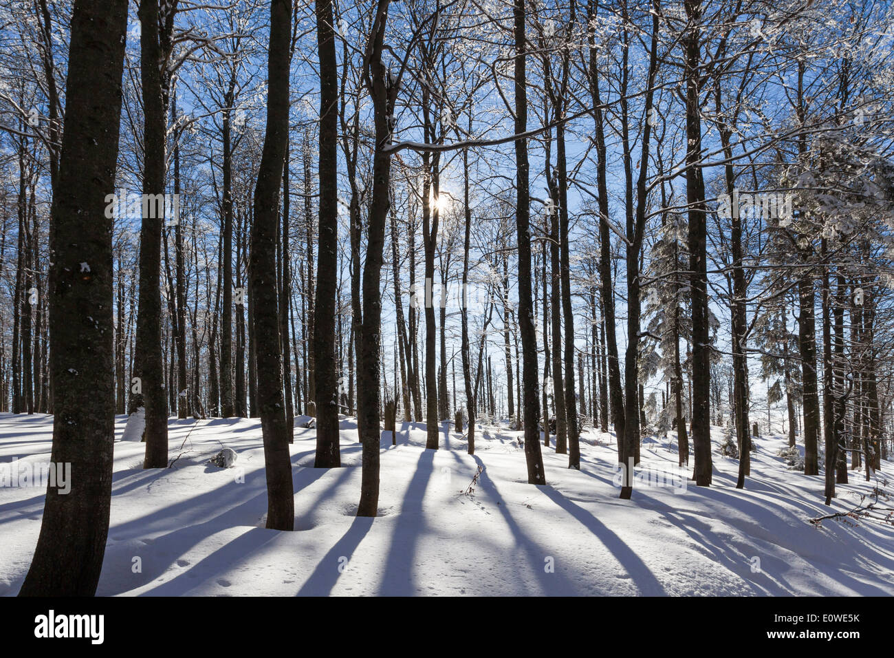 Mountain Lusen in winter. Bavarian Forest National Park, Bavaria, Germany Stock Photo