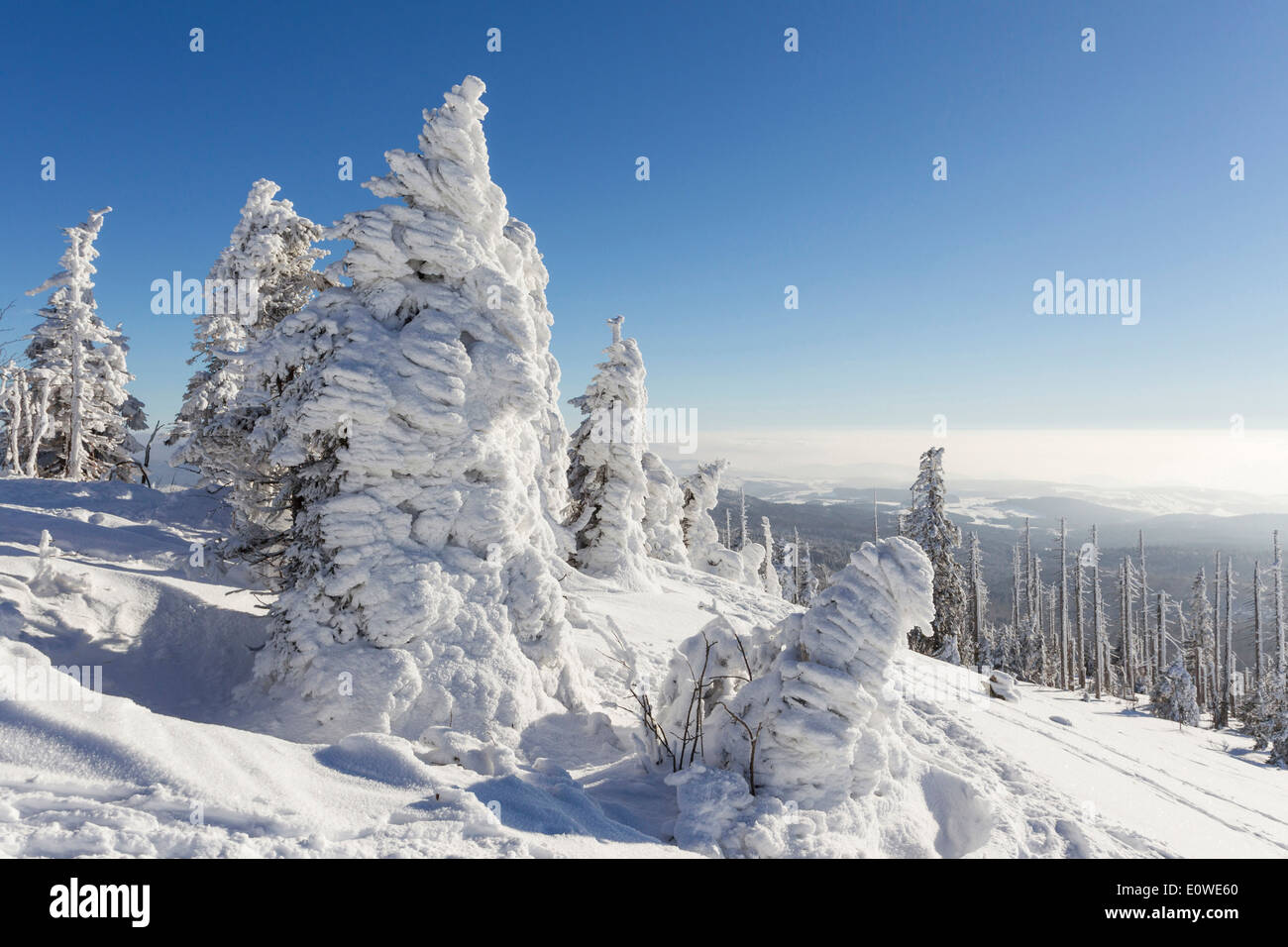 Mountain Lusen in winter. Bavarian Forest National Park, Bavaria, Germany Stock Photo
