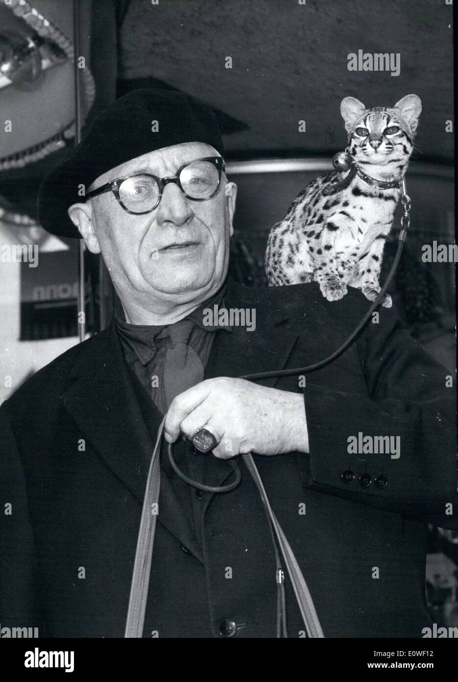 Aug. 08, 1962 - Always taking part in his master's strolls is this midget -tiger cat when the artist from hamburg's reepernahm (Reeperbahn) pleasure - director goes fro a walk. The miniature -tiger the only one of his specie in Germany remains well- behaved on his master's shoulder while the metropolis traffic darts loudly past and the pedestrians on their - way squeeze themselves in a respectful distance from the hard - looking stranger. Stock Photo