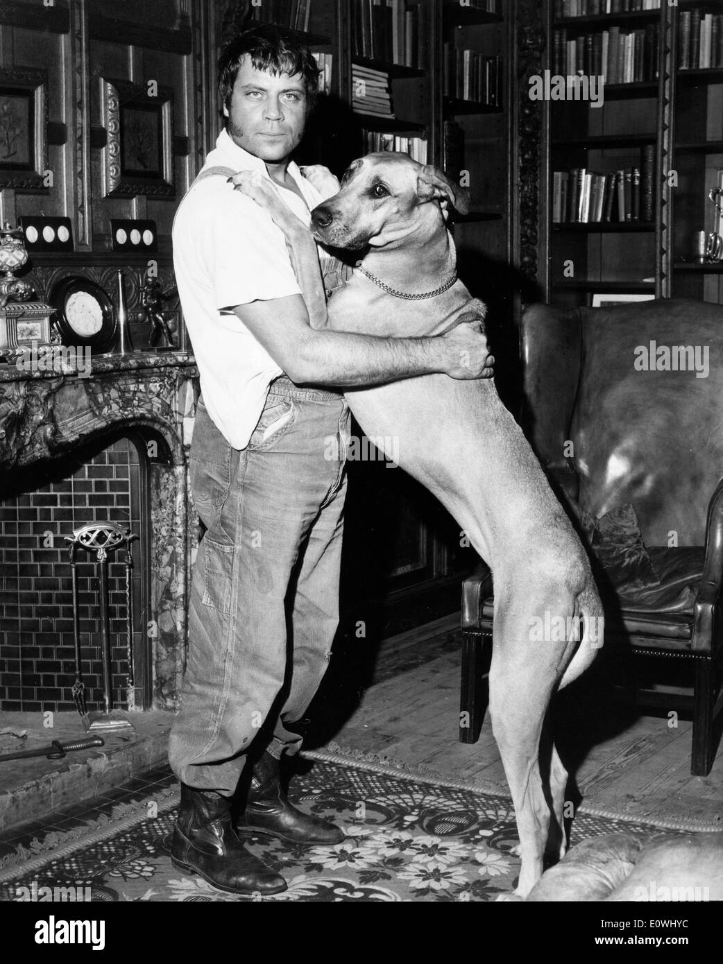 Actor Oliver Reed with his dog Tars Stock Photo