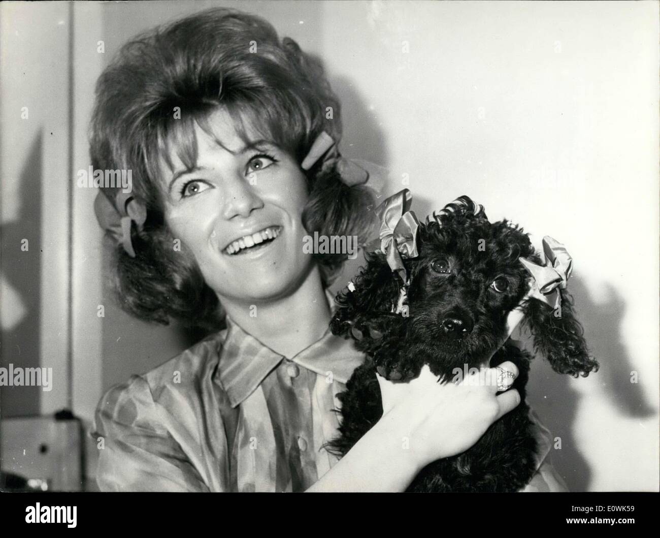 Jun. 10, 1963 - Singer Sheila Modeling the Sheila Coiffure with Her  Poodle Stock Photo - Alamy