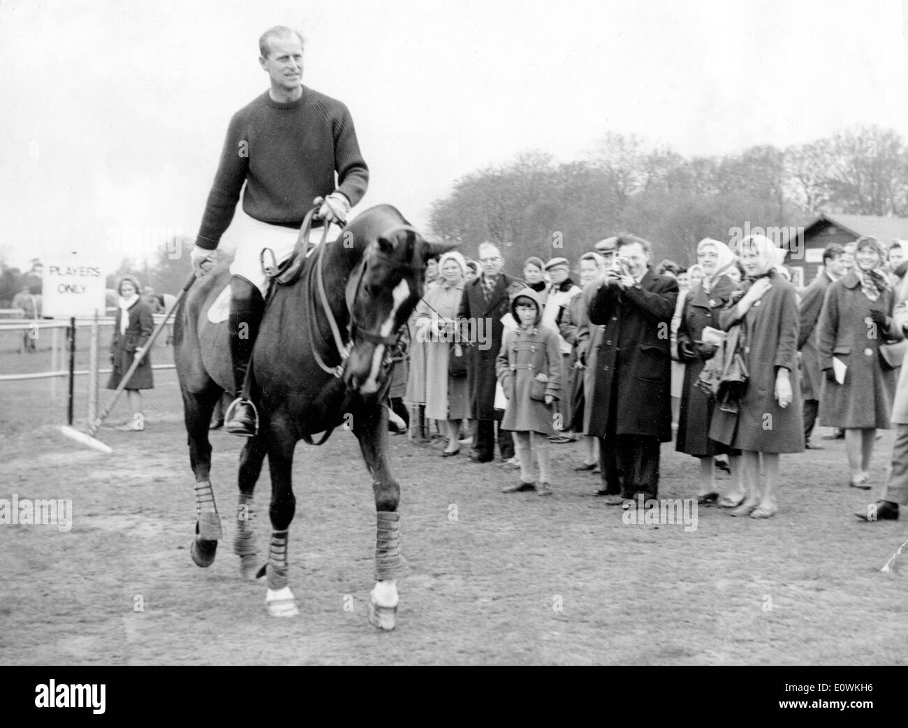 Polo horse Black and White Stock Photos & Images - Alamy