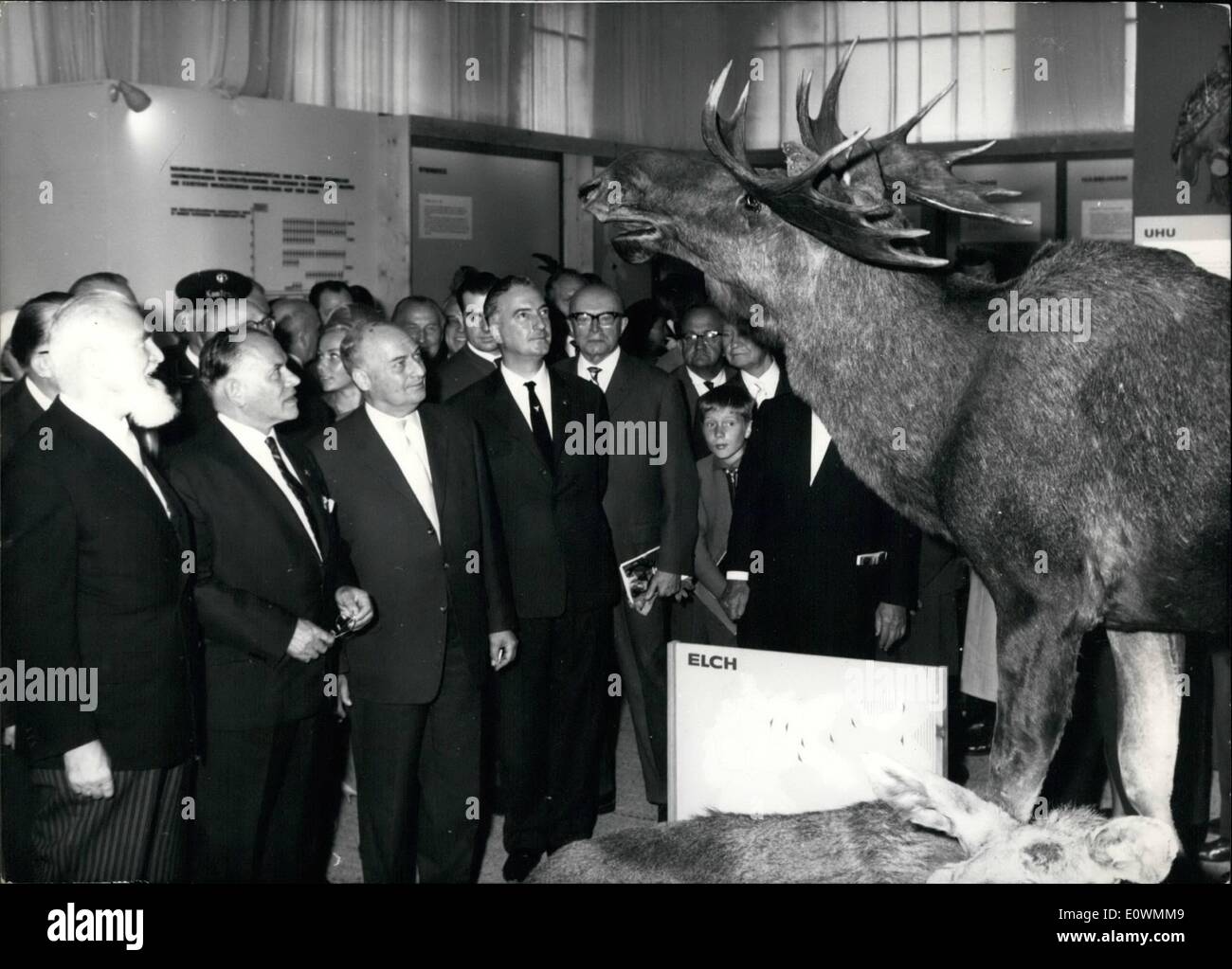 Sep. 09, 1963 - German Hunt, Forest and Wood Exhibition was opened: At Munich the festive opening of the German Hunt-, Forest- and Wood-Exhibition was the culminating point of today (19.9.). A great number of prominent visitors took part at the first round through the large exhibition, which is built up on a territory of 6000 qm. Photo shows from left to right: Bavarian Minister Dr. Aloys Hundhammer, Federal President Dr. Eugen Gerstenmaier, Minister for forest and food Schwarz and the President of the German Hunt-Protection Assemblage Anhauser. Stock Photo