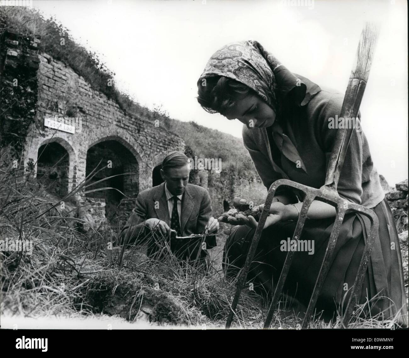 Aug. 08, 1963 - Searching for the Calf of Gold: The Couple in the picture, Mr. and Mrs. Orde-Powlett, are the owners of Old Basing House, Hampshire, once the second largest house in England, but razed to the ground by Oliver Cromwell's forces in 1645, during the Civil War. The story goes that then owner, the Marquess of Winchester, who was under siege by Cromwell, melted down his hoarded gold and had it shaped into a golden calf, and then buried. Mr Stock Photo