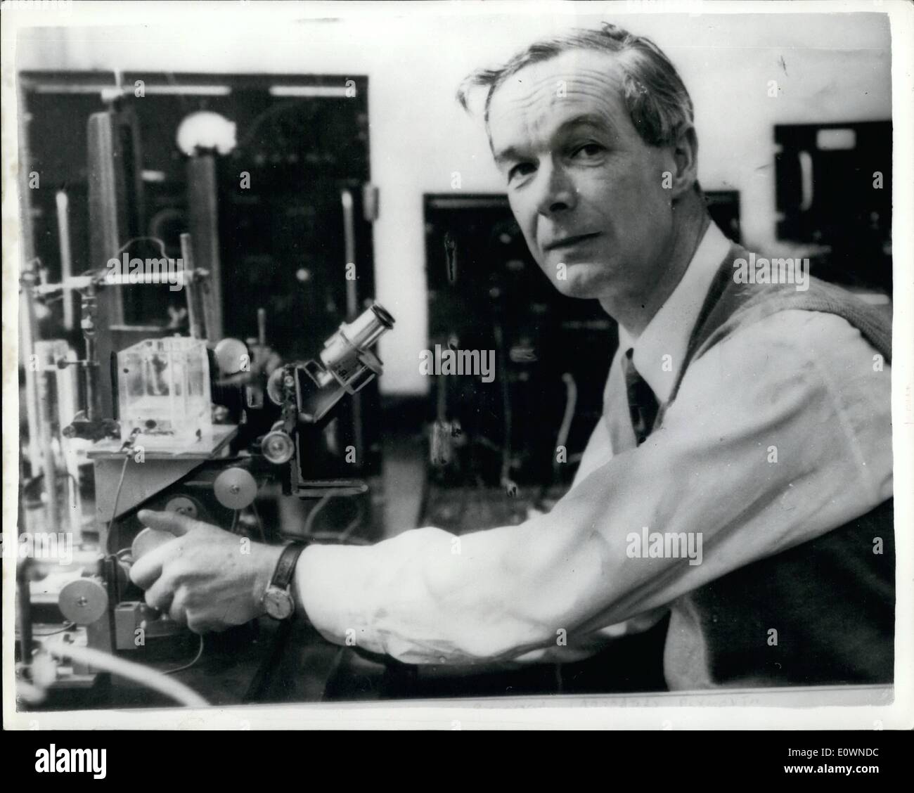 Oct. 10, 1963 - Nobel Prize for Professor Hodgkin. The 1963 Nobel Prize for Medicine has been awarded jointly to Professor Alan Stock Photo