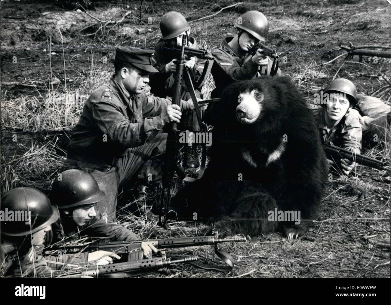 Mar. 23, 1964 - The 1.8 meter tall sloth bear in this picture is named Alfred and is the mascot of this paratrooper unit of the Stock Photo