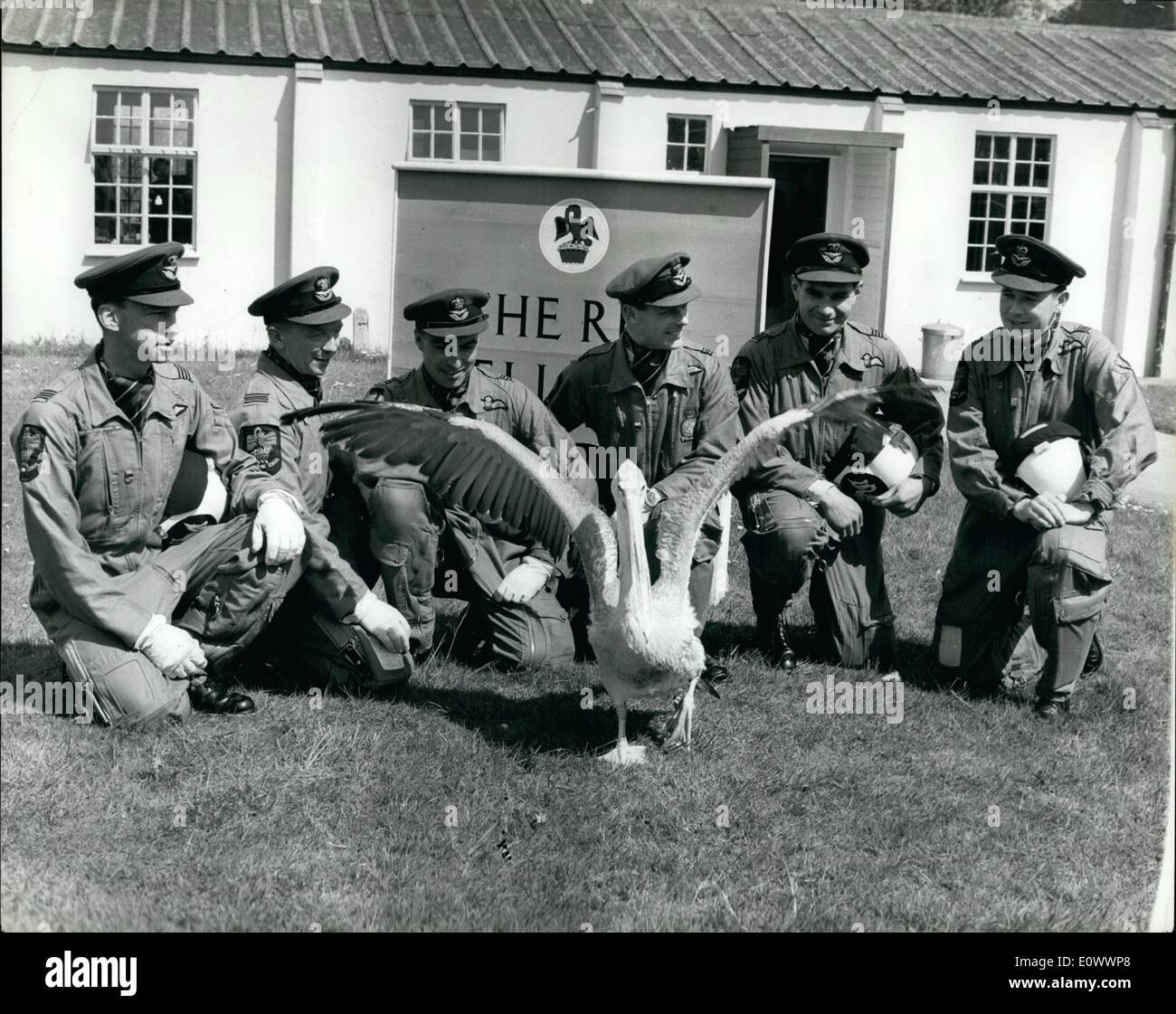 May 05, 1964 ''Patrick'' Meets The ''Red Pelicans'' Showing their