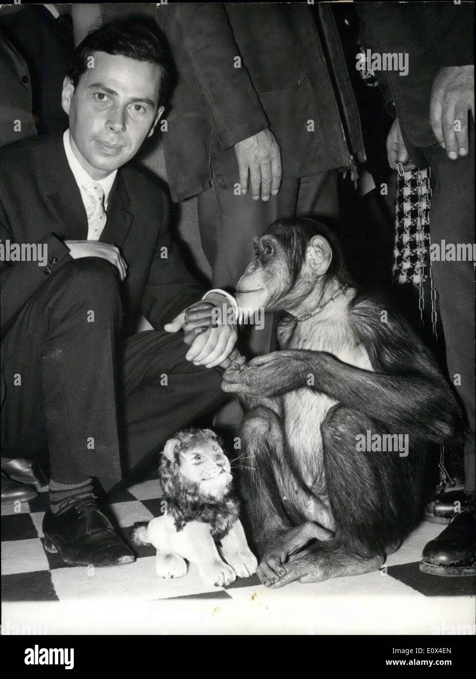 Mar. 25, 1965 - Nancy and her new master: Nancy, the four-year-old Chimpanzee, seems to greatly enjoy the company of her new master, 22-year old Pierre Thomas. Pierre has been drtaming to become a circus tamer ever since he was a young boy. Thanks to a money allowance he obtained after a contest Pierre was able to train as a tamer and he has now been engaged by a circus. Stock Photo