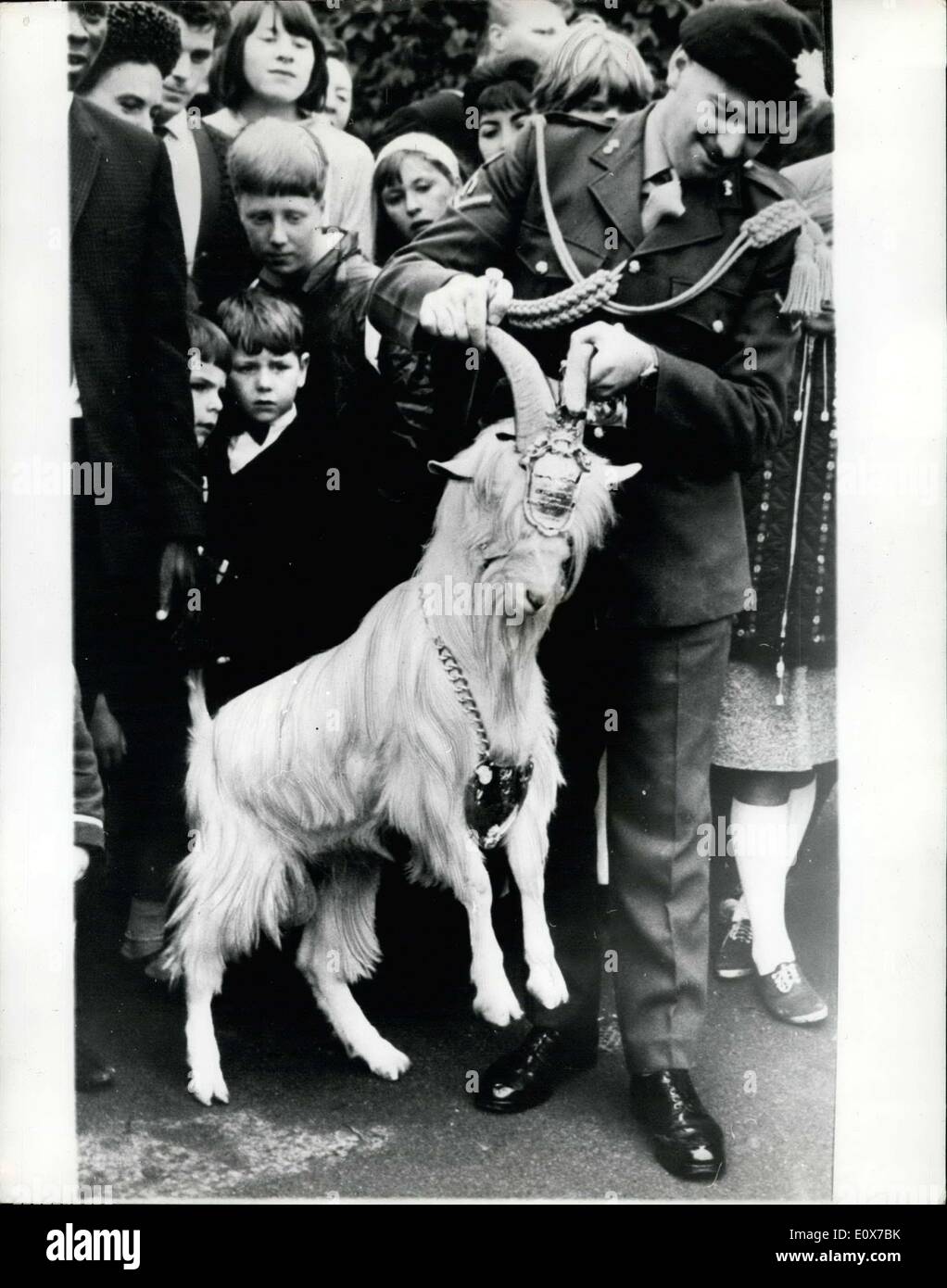 Aug. 25, 1965 - Goat mascot for the Royal Welch Fusiliers. Lt. Peter Reece, of the 1st. Battalion of the Royal Welch Fusiliers, Stock Photo