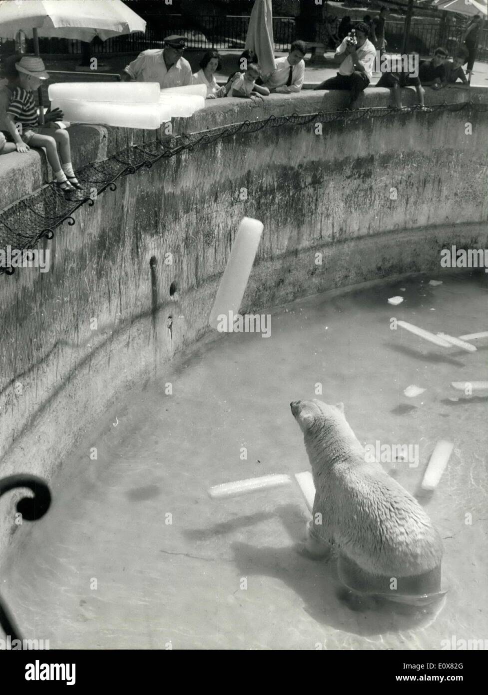 Aug. 03, 1965 - Rome, 3/8/65 ? When the bears endure health?.intervene the Zoo?s Direction and throw some ice in the basin of the White bears of the Roma?s Zoo. (Sav and Giu 306.58) Stock Photo