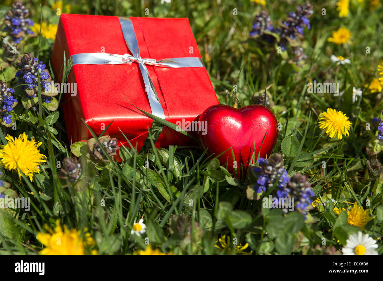 red heart and gift on a spring meadow Stock Photo