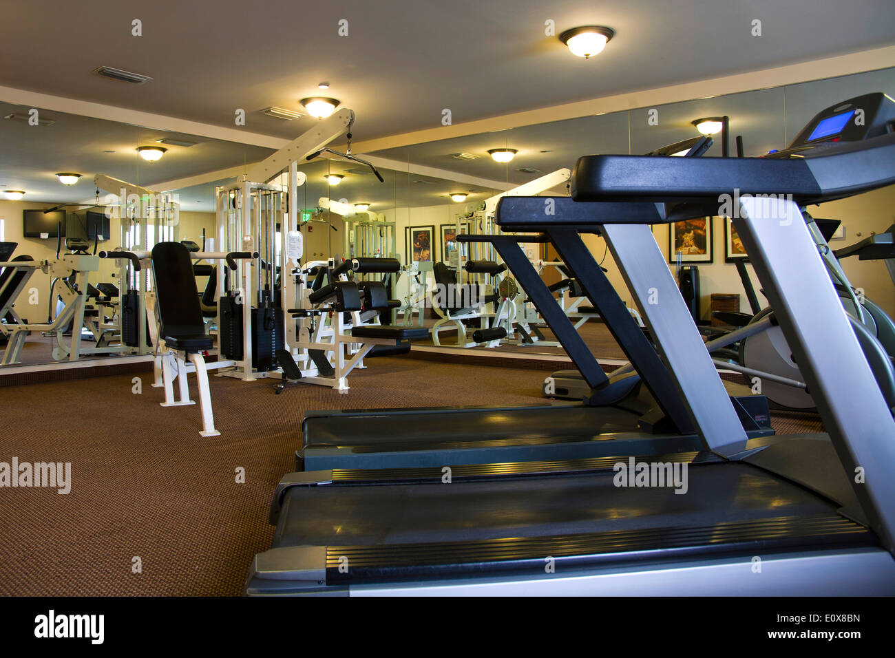 Gym equipment in an exercise room of a discount hotel Stock Photo Alamy