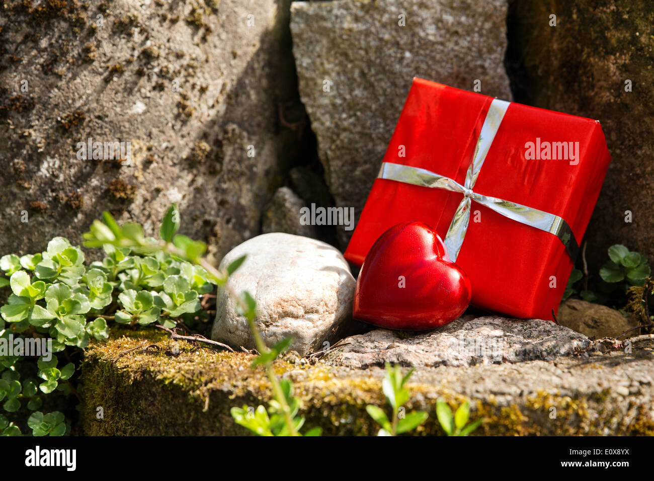 a close up of a rockery with a red heart and a gift Stock Photo