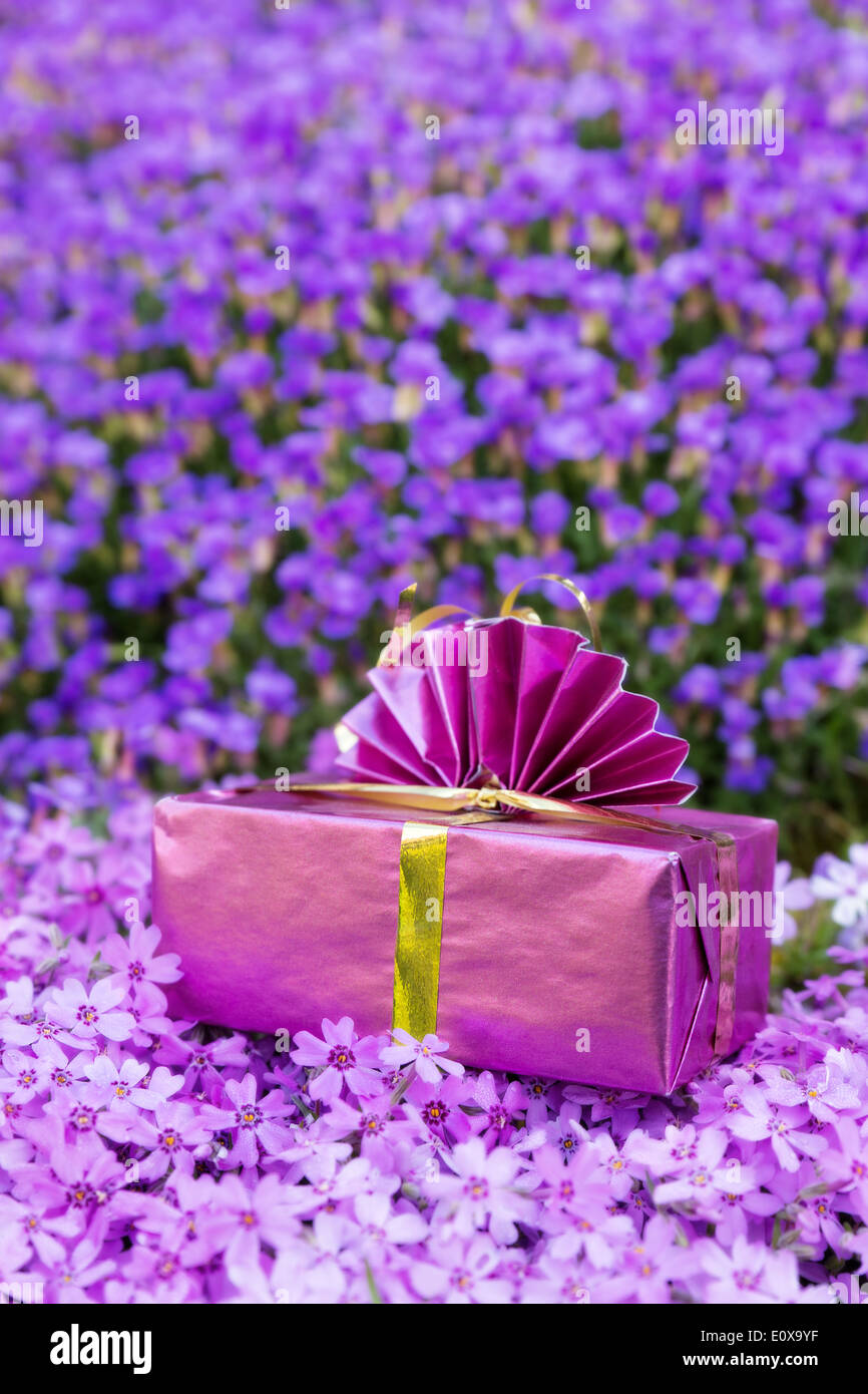 a pink present atop a sea of violett flowers Stock Photo