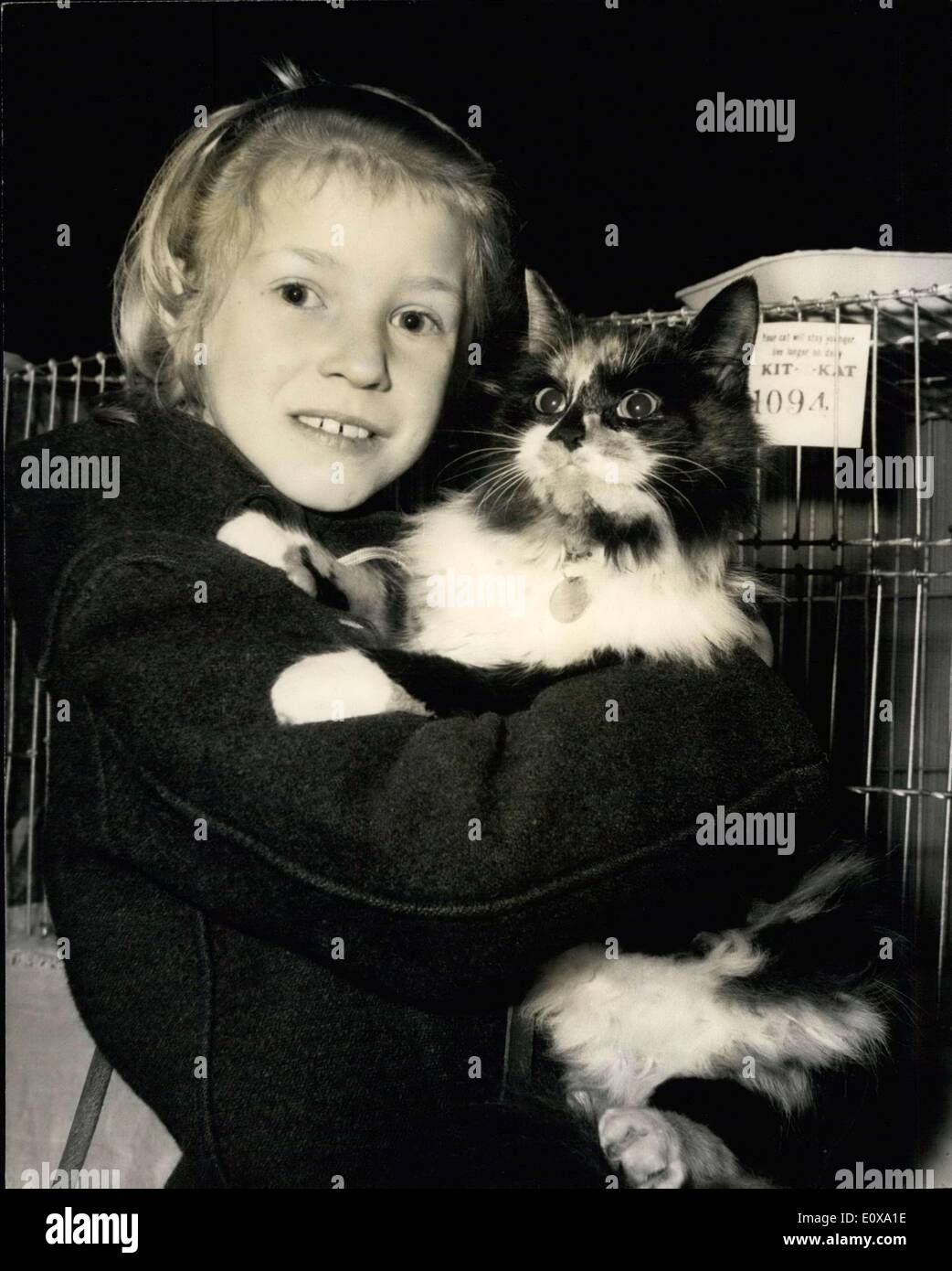 Dec. 16, 1965 - National Cat Club Championship Show: Photo shows Carol Rawlings, 8, of Hillingdon, arriving with her household pet ''Sazzi'', at Olympia, for the National Cat Club Championship show today. Stock Photo
