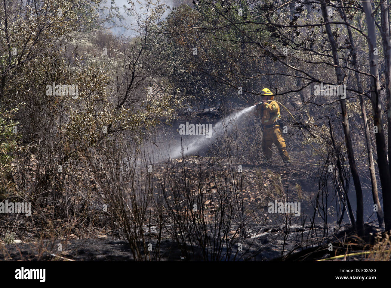 Calfire crews fight the Las Pulgas wildfire as it burns through the foothills around the Marine Corps Air Station May 17, 2014 in Camp Pendleton, California. The Las Pulgas Wildfire on Camp Pendleton has burned more than 15,000 acres and is the largest fire in San Diego County history. Stock Photo