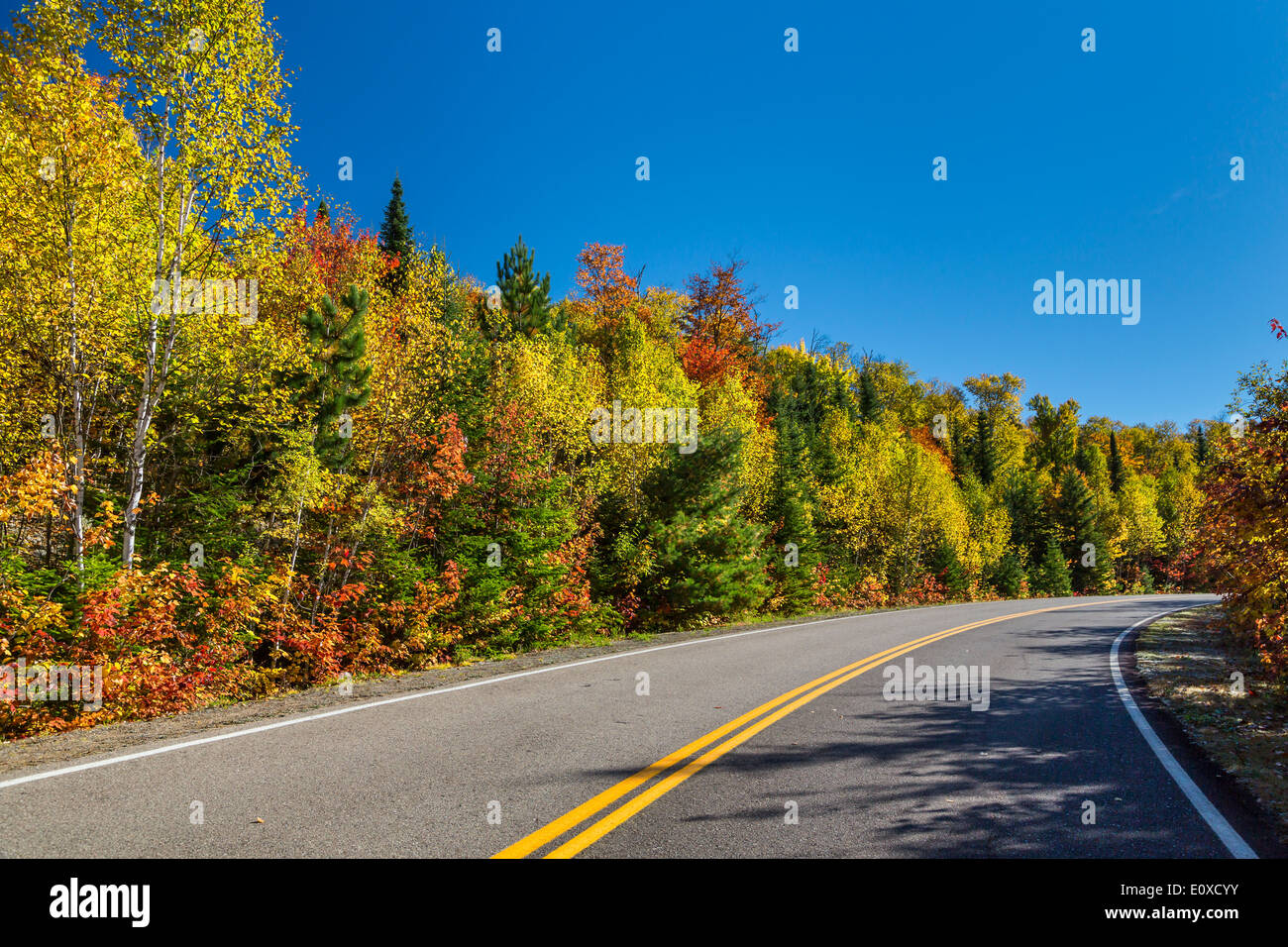 Fall foliage color in the trees with a park roadway in La Maurice National Park, Quebec, Canada. Stock Photo