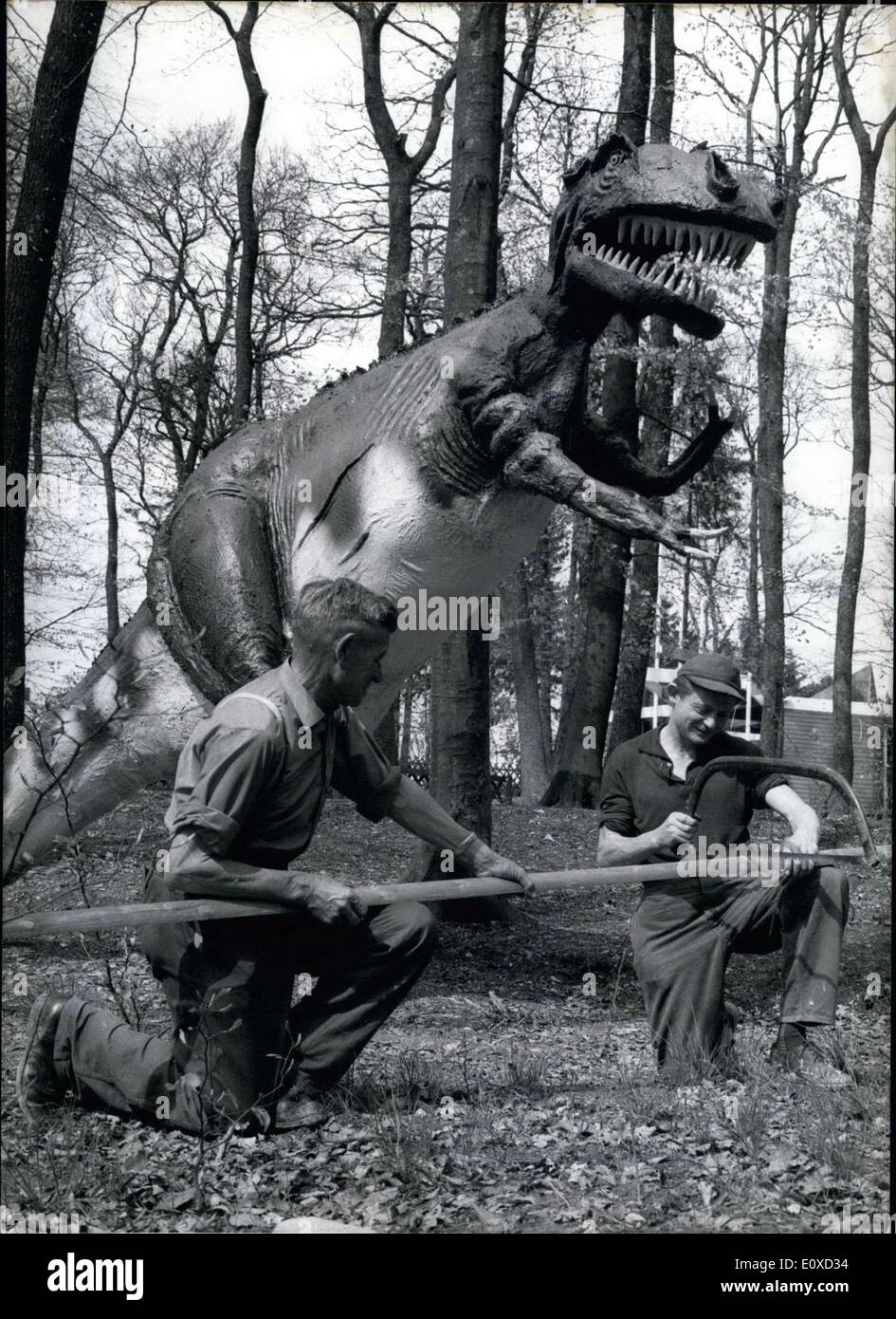 Apr. 28, 1966 - These workers are in no danger from the behemoth behind them. The dinosaur is part of a ''mythical'' garden near Wiesbaden that is somewhat like Disney Land, which planned to open on 5-12-1966. A print owner had the idea to create it. They wanted to entertain little kids. The figures are made true-to-life and are colorful. Each figure has an audio recording to tell ''their'' tells. Stock Photo