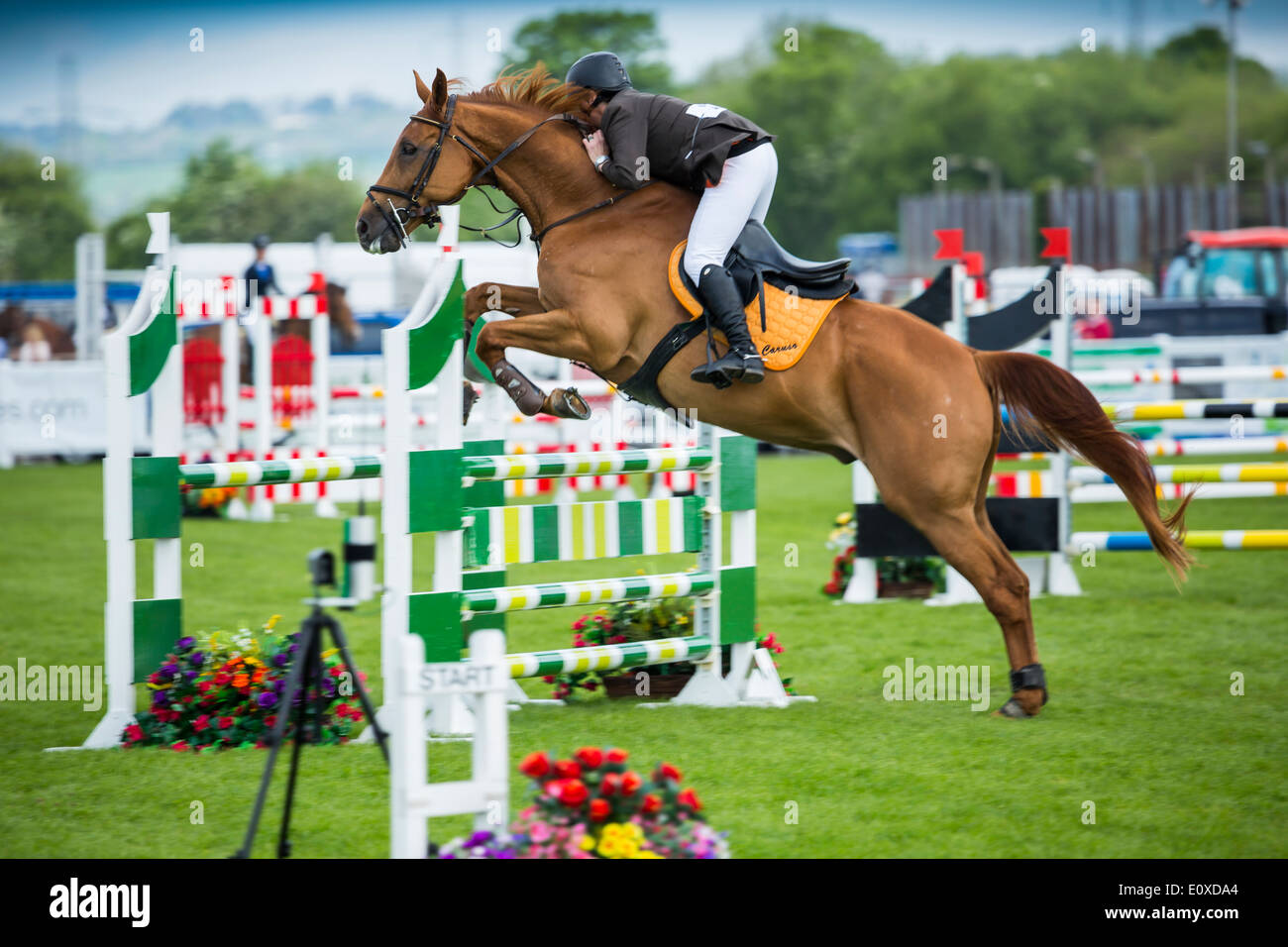 Show Jumping Competitors at the 2014 Balmoral Show, The Maze Lisburn