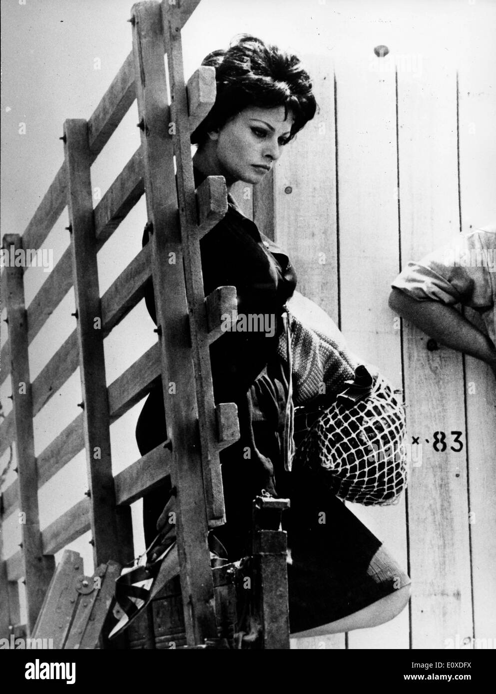 Judith Scene Actress Sophia Loren in a scene from 'Judith' Stock Photo - Alamy