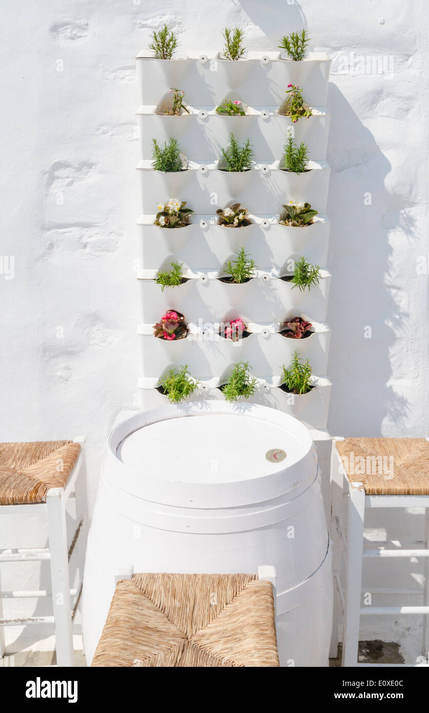 Vertical wall feature of small plants outside a bar in Greece Stock Photo
