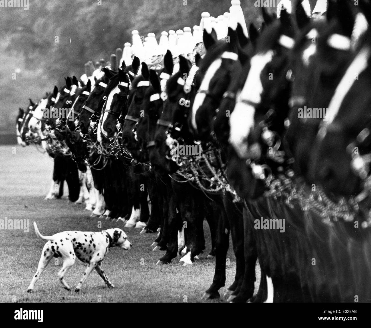 Inspection of Household Cavalry Regiment Stock Photo