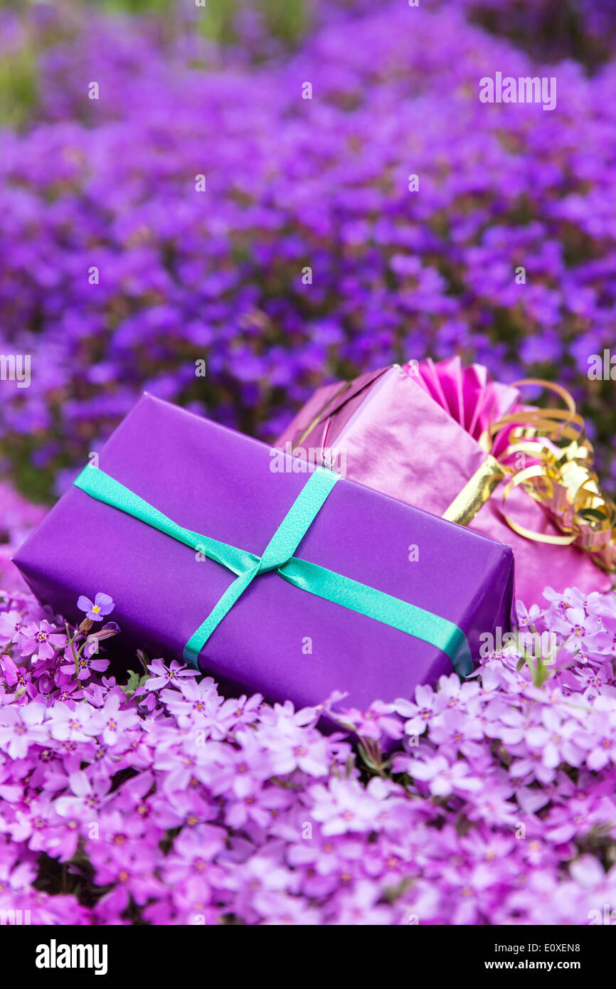 postcard vertical with two gifts atop a sea of spring flowers Stock Photo