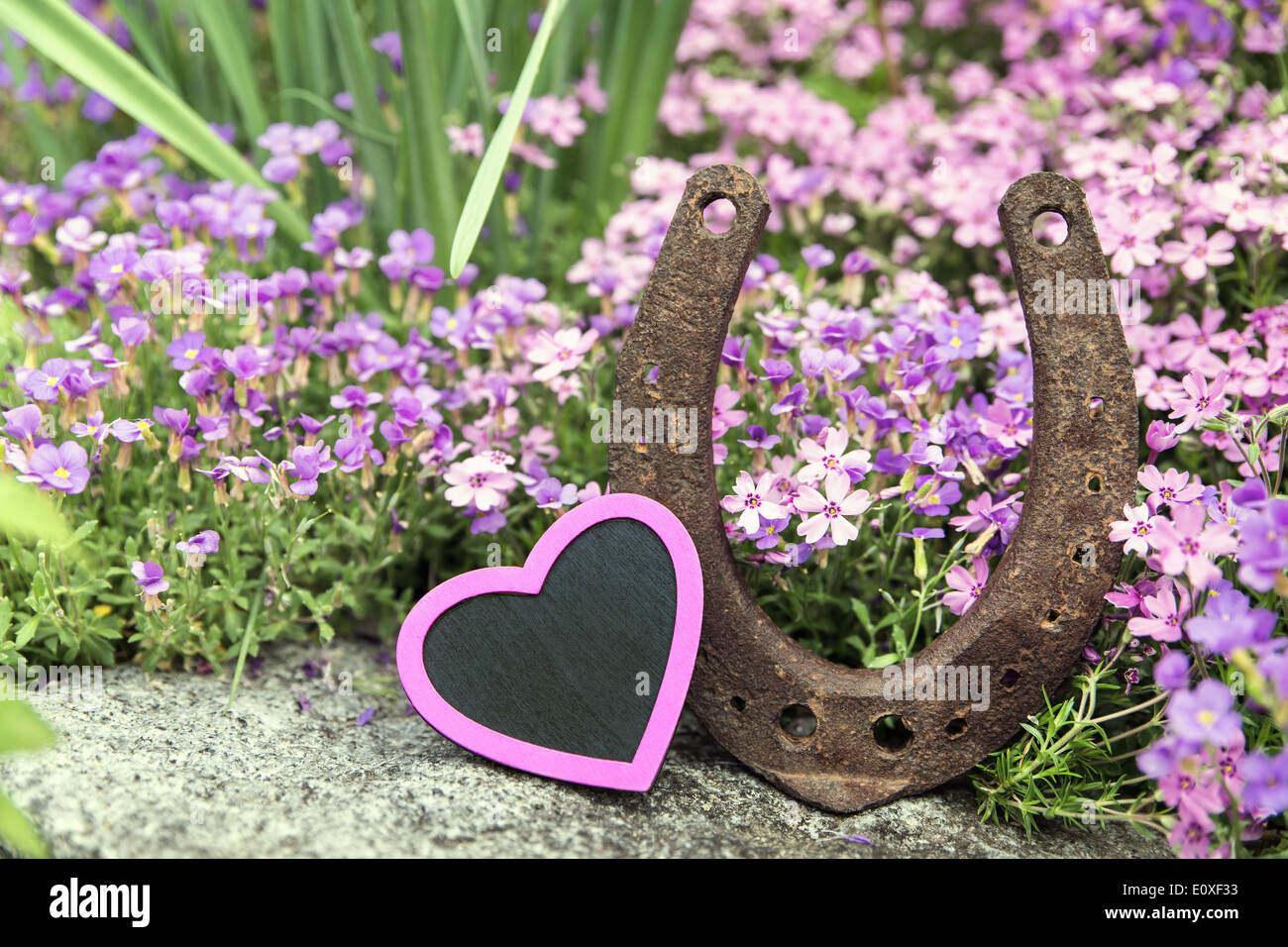 pink heart and horseshoe in front of a romantically spring meadow Stock Photo