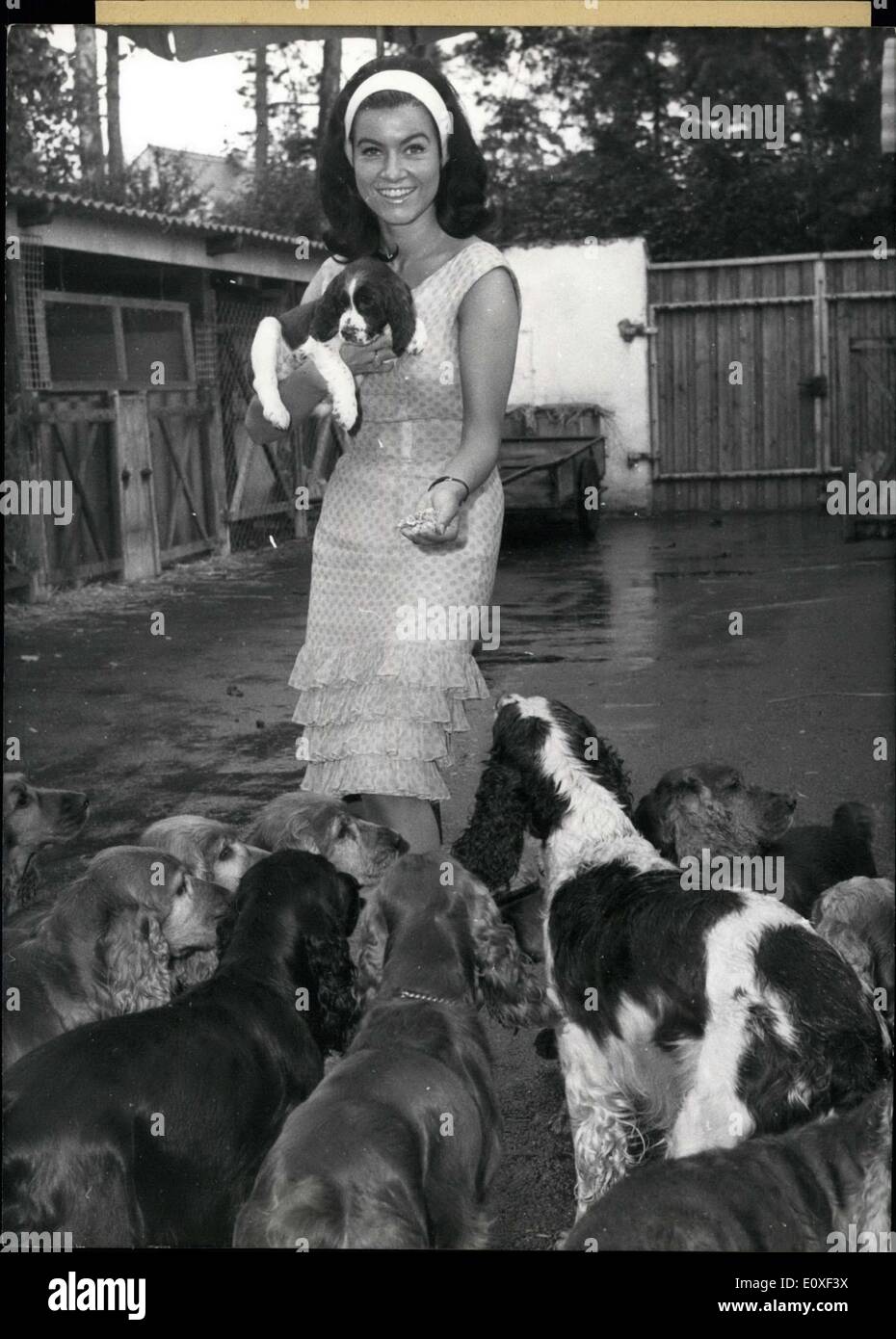 Jul. 23, 1966 - Pictured here is actress Dagmar Hank, an animal lover, as she attempts, in agony, to choose an animal to take home with her from a kennel at Schleissheim(near Munich.) All the sad eyes and hanging ears make it even more difficult. Stock Photo