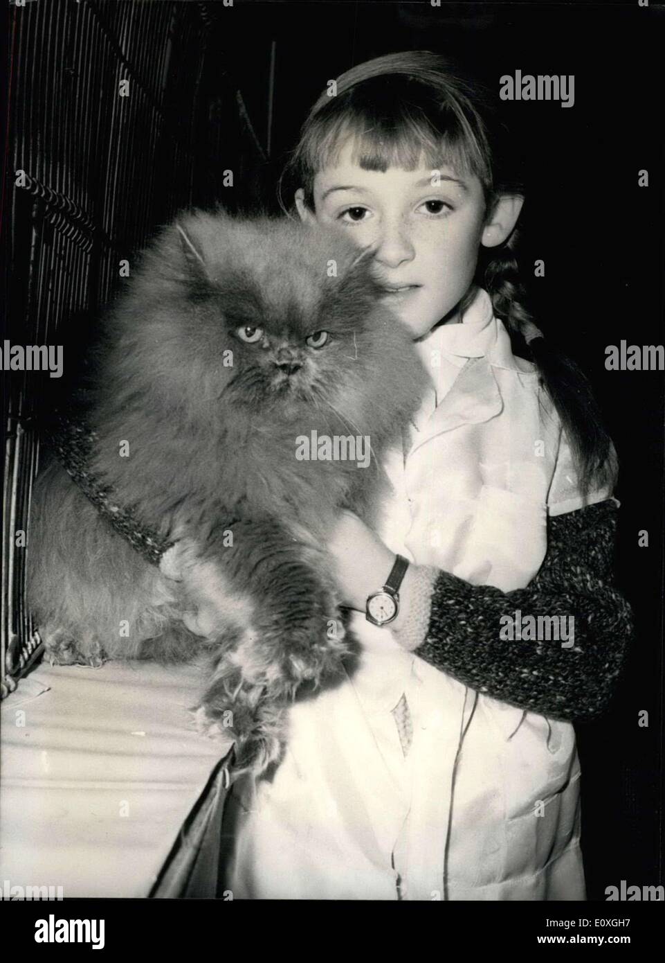 Dec. 03, 1966 - The National Cat Club Show At Olympia: Over 1,300 cats and Kittens were on show at the National Club Show which Stock Photo