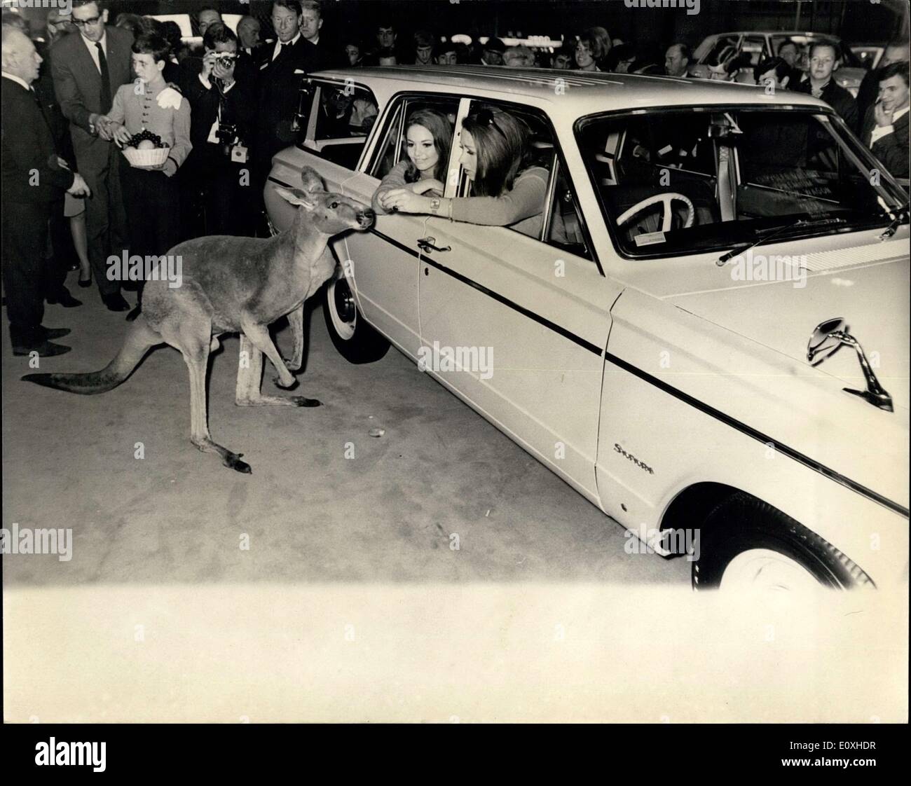 Oct. 18, 1966 - Preview of The Motor Show. hoto Shows:  Joey, the kangaroo adds a topical touch to one of the first Au Stock Photo