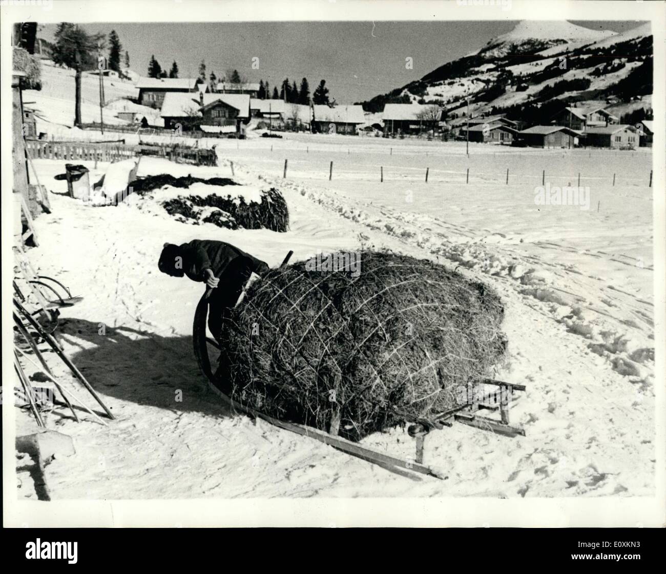 Sledge down stock hi-res stock photography and images - Alamy