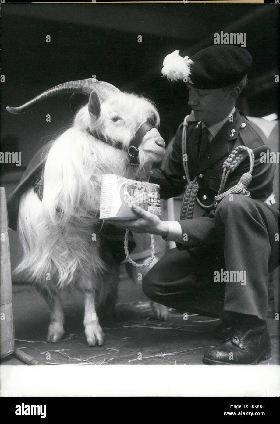 Mar. 08, 1967 - The most prominent ''guest soldier'' of the British Rhein Army is Billy, the goat mascot of the Royal Welsh Fusiliers. He is on his way back to Windsor. Fusilier John Thorpe is Billy's escort back home. Billy gets a special cabin on the flight back to London. Stock Photo