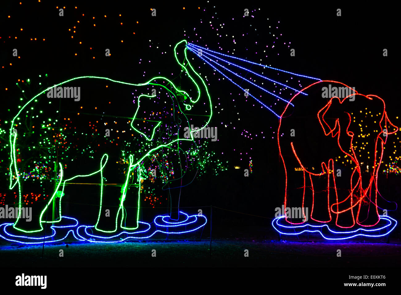 Christmas lights shaped like elephants, Denver Zoo Lights, Denver Zoo, Denver, Colorado USA Stock Photo