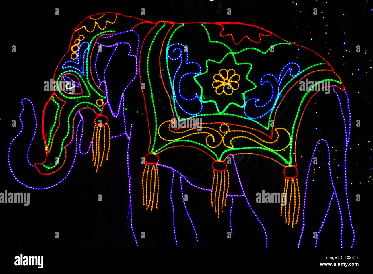 christmas lights shaped like an elephant denver zoo lights denver zoo denver - Christmas Lights In Denver christmas lights shaped like an elephant denver zoo lights denver zoo denver - Christmas Lights In Denver