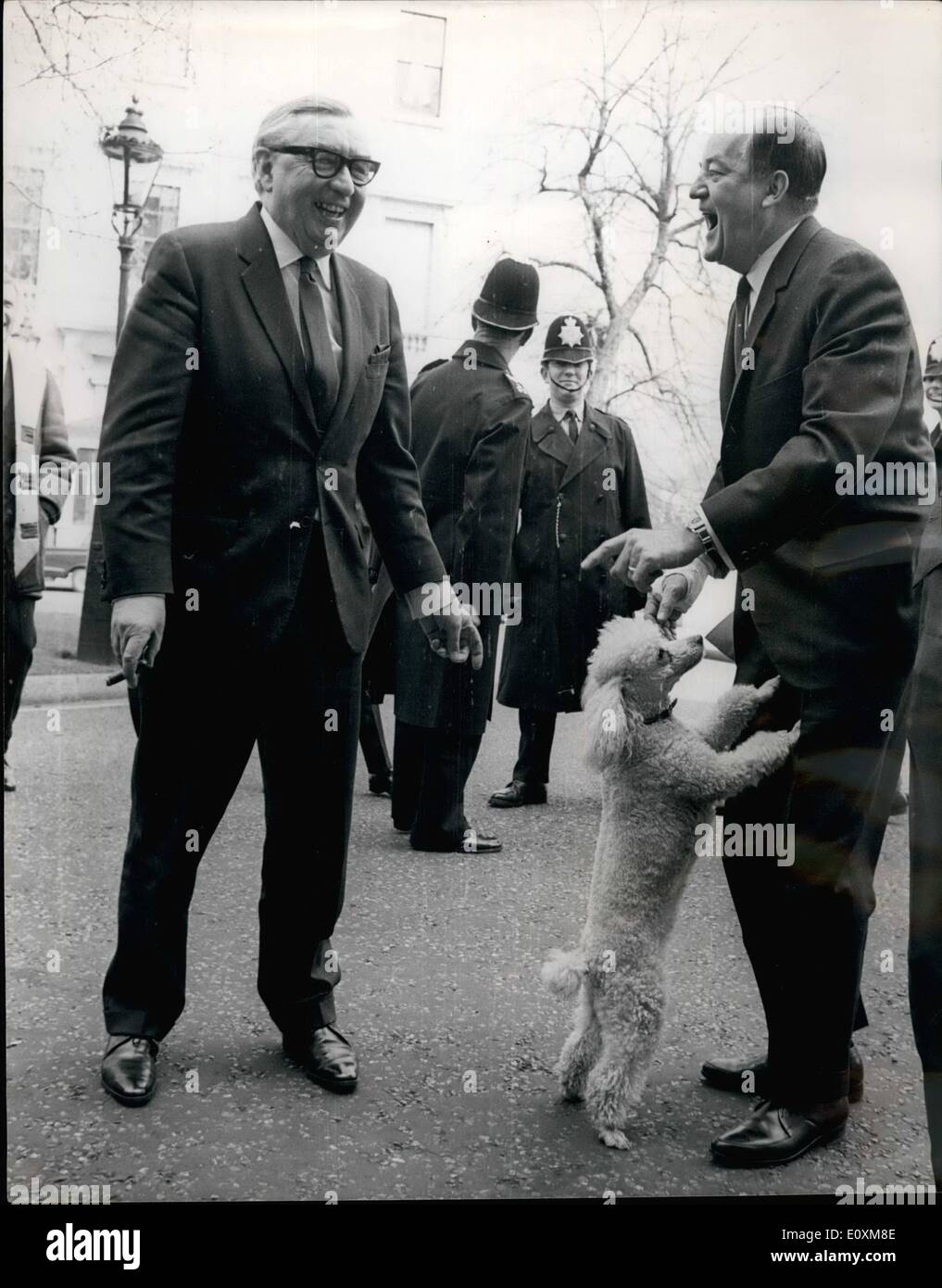 Apr. 04, 1967 - Mr. Humphrey Lunches with Mr. Brown. The American Vice President, Mr. Hubert Humphrey, who is in London, yesterday lunched with Mr. George Brown, Britain's Foreign Secretary at No. 1 Carlton Gardens, Mr. Brown's official residence. After lunch they went for a stroll and on their return Mr. Brown's white poodle Jenny ran out to greet them. Photo Shows: Mr. George Brown looks on with a smile as his poodle Jenny greets Mr. Humphrey on returning from their stroll. Stock Photo