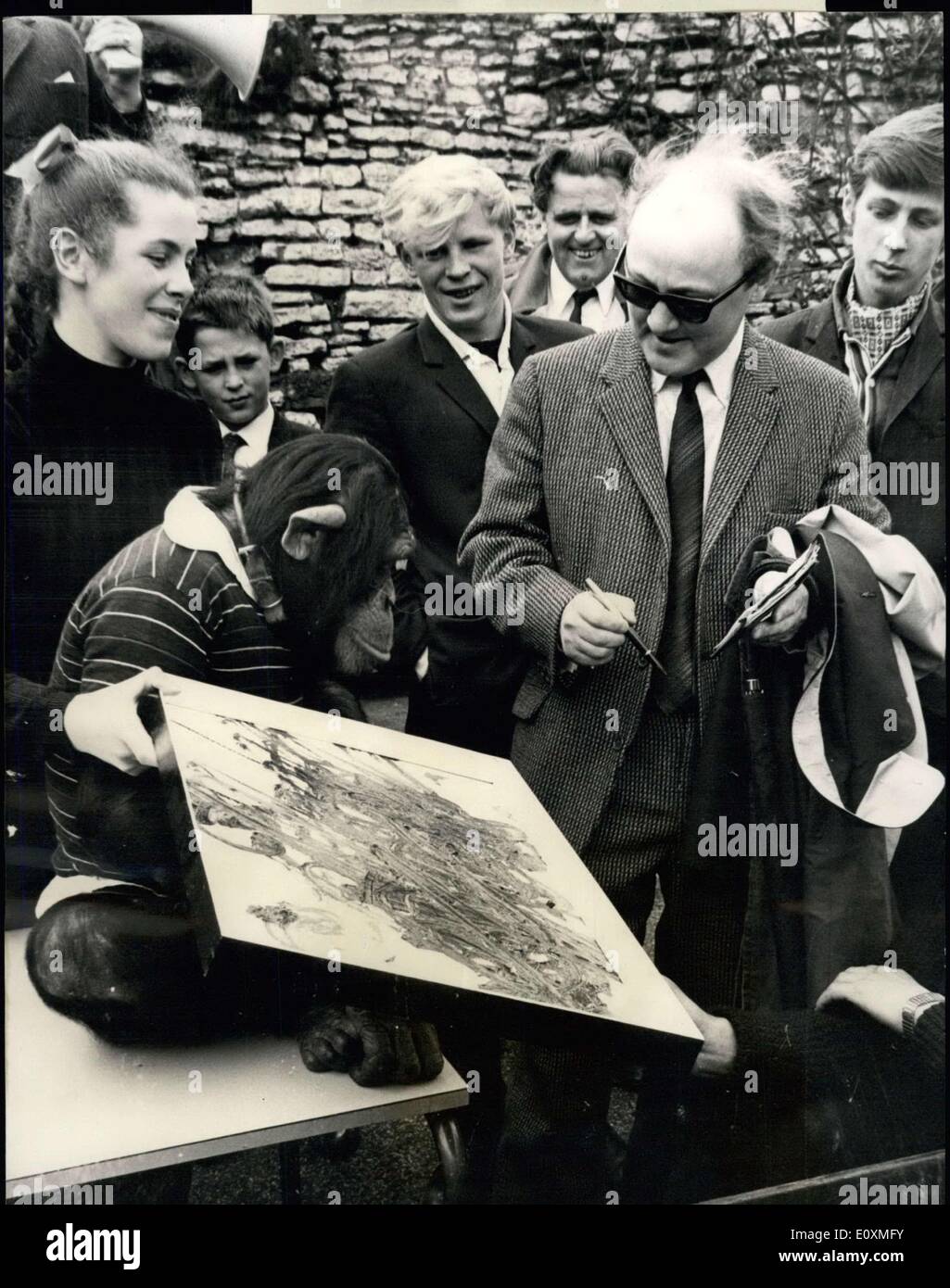 May 31, 1967 - Works of Art by an Ape Auctioned : Fifteen of the paintings by a five-year-old ape, Cindy Lou, who has been painting multi-coloured aplodges for a year at the Dudley Zoo, Worcester, were sold at an auction. The education was conducted by Birmingham auctioneer. Mr. Brish Davies. None of the first 10 lots reached the 2 mark. But, then, when Lot ll Henley-in-Arden, Warwicks, paid 15.10s, after a brisk bout of bidding. Altogether the auction raised 39.8s.6d.for the World Wildlife Fund Stock Photo