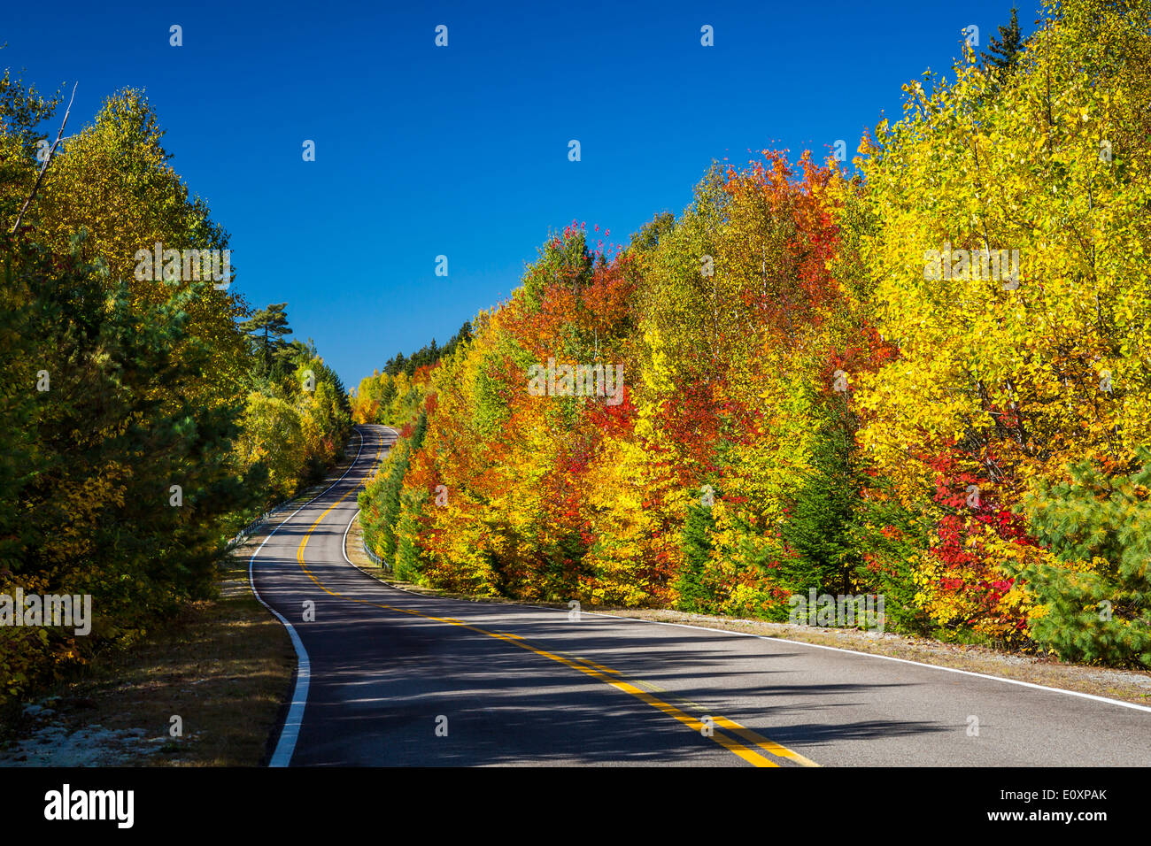 Fall foliage color in the trees with a park roadway in La Maurice National Park, Quebec, Canada. Stock Photo