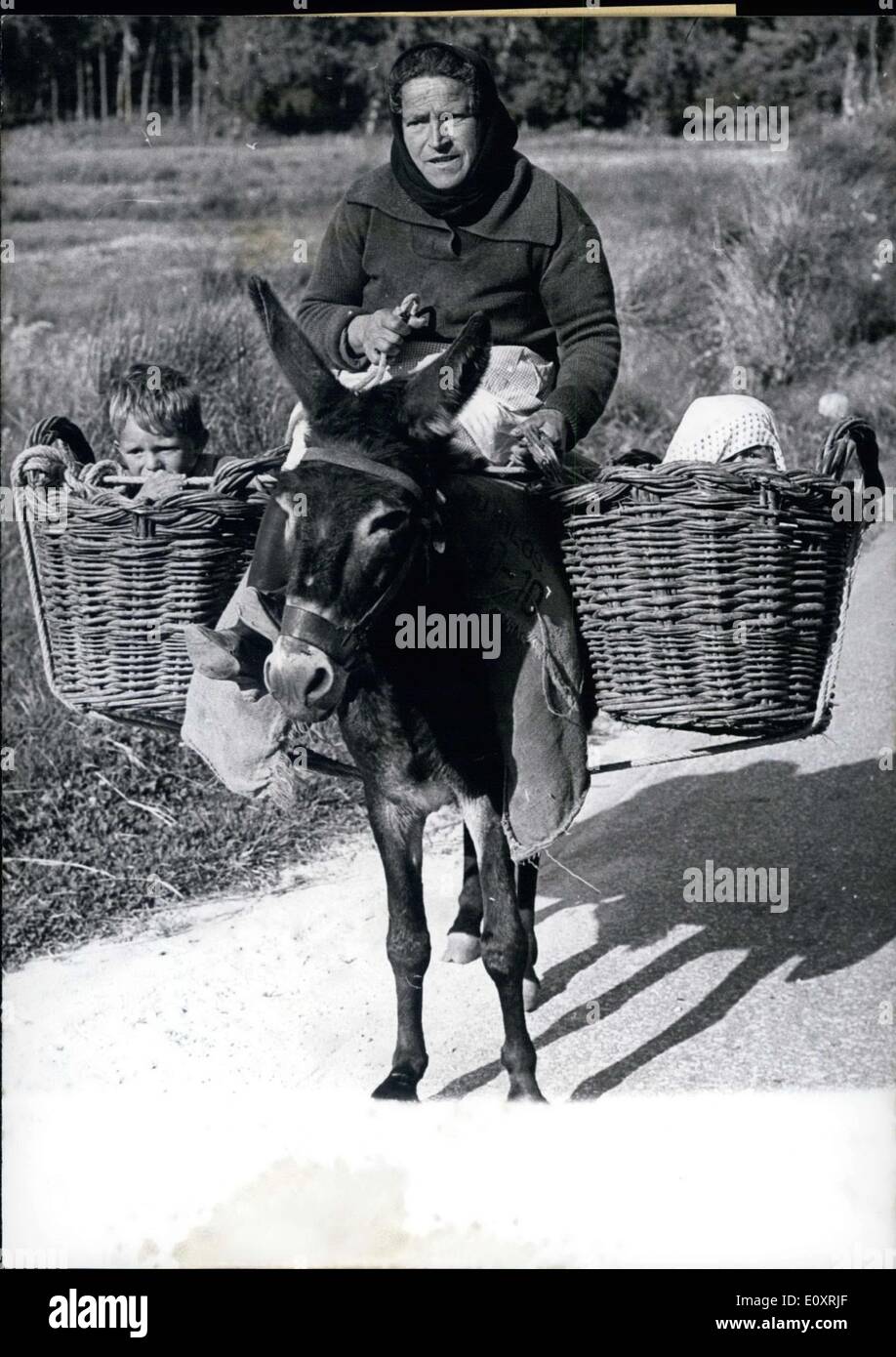 Aug. 21, 1967 - This Portuguese grandmother found an interesting way to travel and have the kids with her. The burro has a basket on either side with kids Franco and Elena in each. Stock Photo