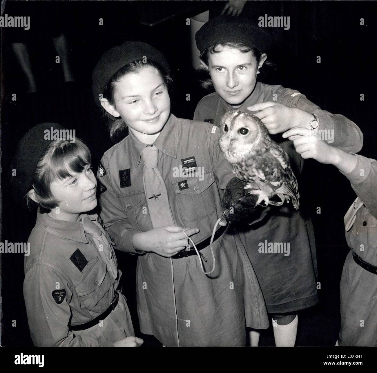 Mr colin rawlings hires stock photography and images Alamy