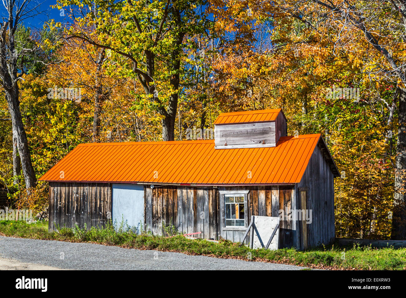 Quebec sugar shack maple hires stock photography and images Alamy